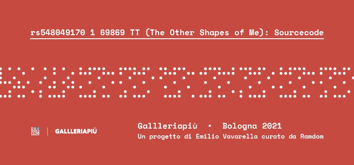 Emilio Vavarella – rs548049170_1_69869_TT (The Other Shapes of Me): Sourcecode